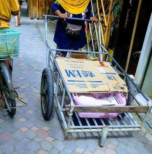 Cart-Koh-Phi-Phi-Thailand