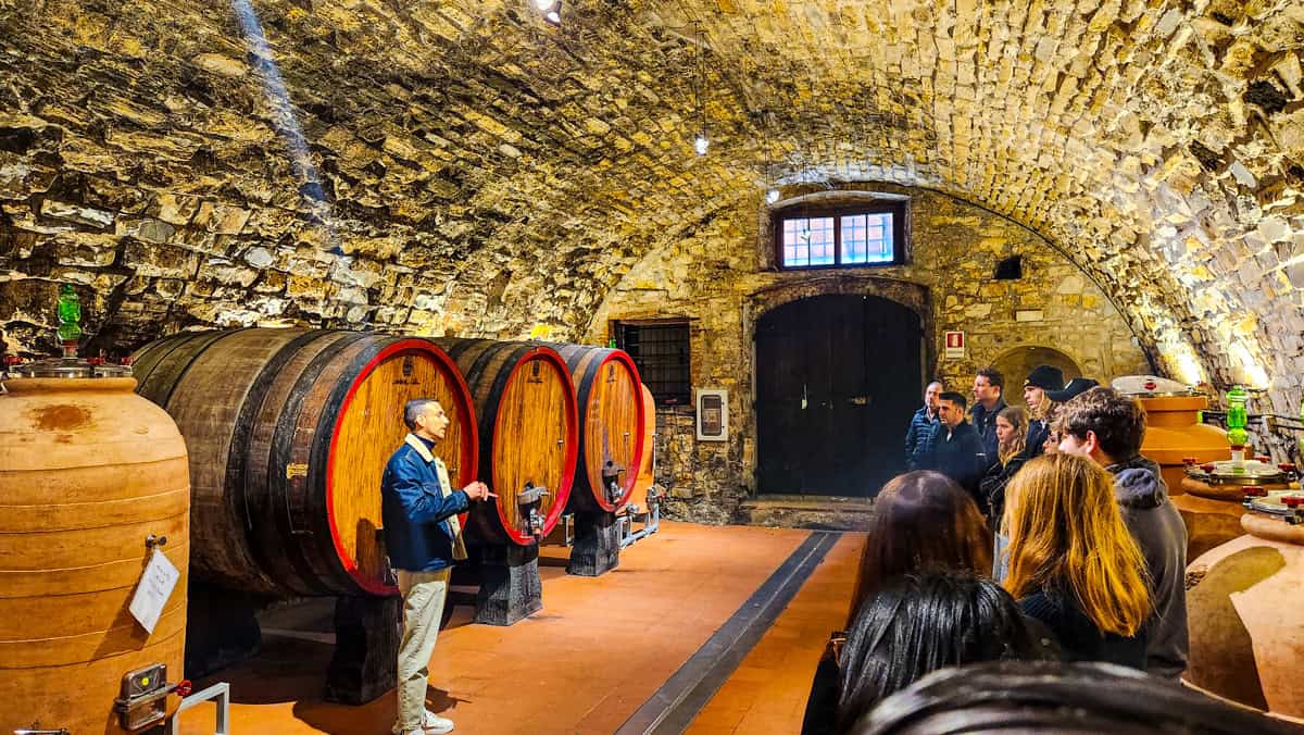 Fattoria Montecchio, chianti wine tour, cellar tour