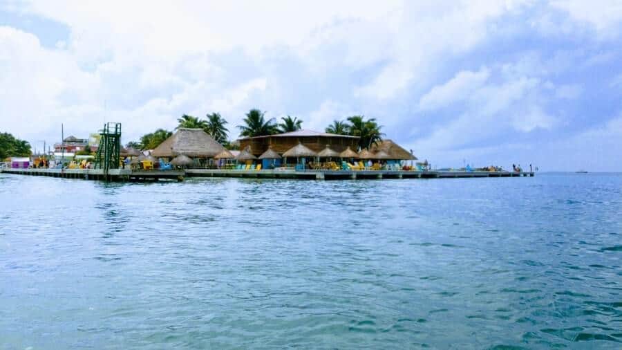 lazy lizard by boat caye caulker belize