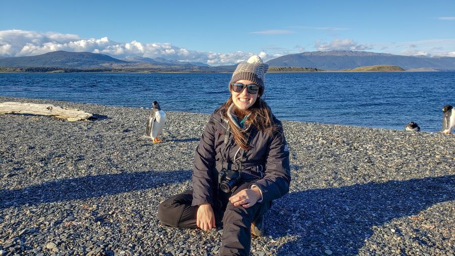 penguins ushuaia argentina