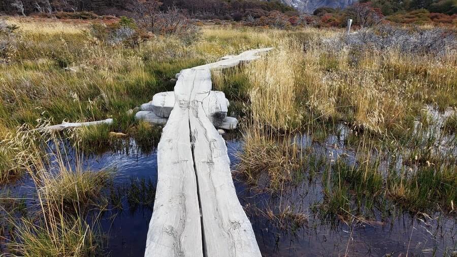 el chalten argentina fitz roy km 7 marsh