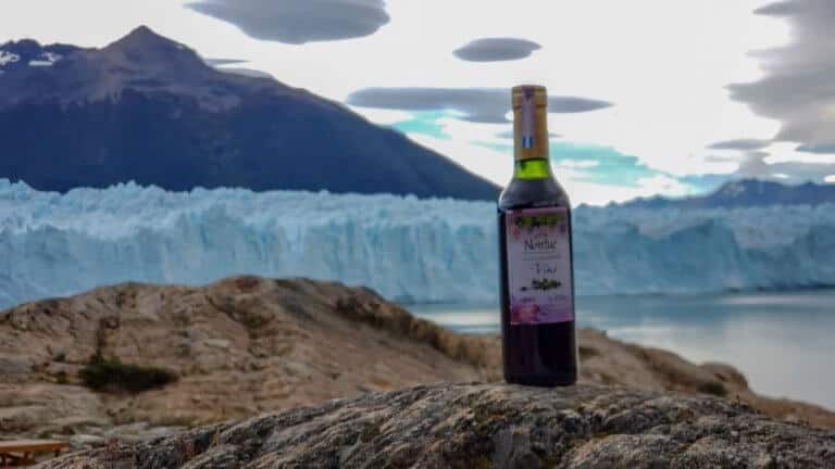 Things to do in El Calafate – Gateway to Patagonia in Argentina
