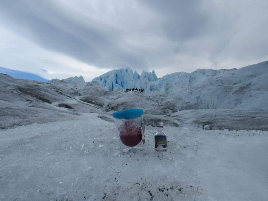 el calafete Glacier Perito Moreno Argentina berry drink