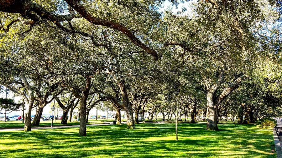 downtown Charleston Battery