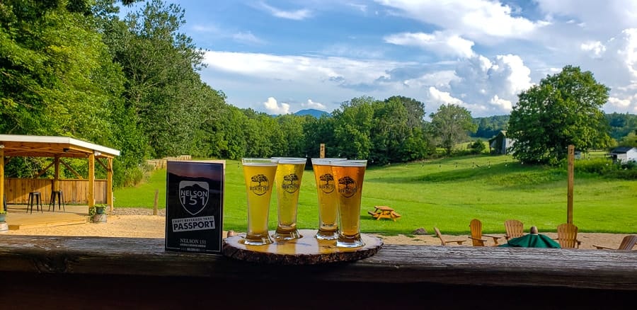 brewing tree beer flight