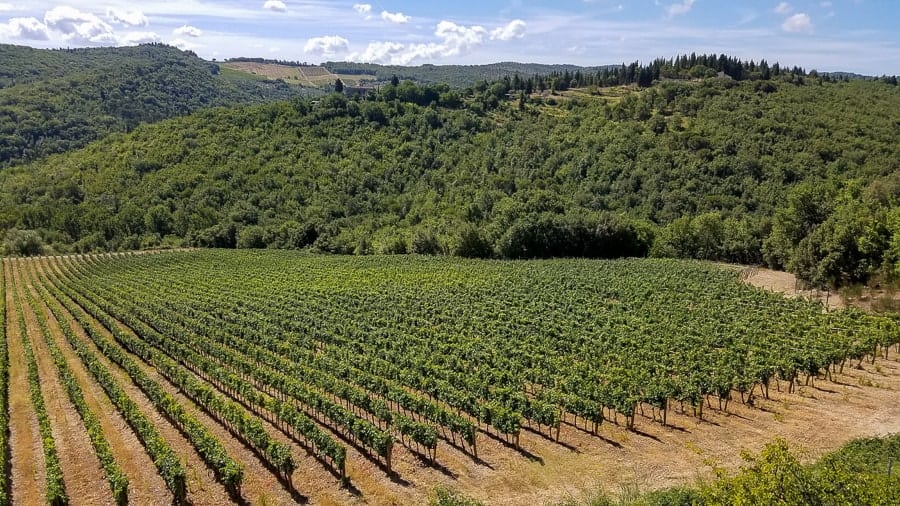 tuscany wine region italy