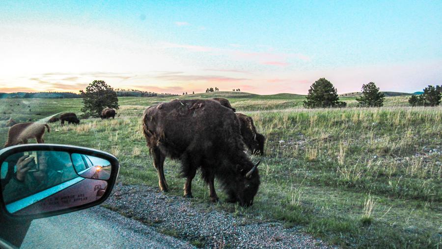 custer south dakota road trip