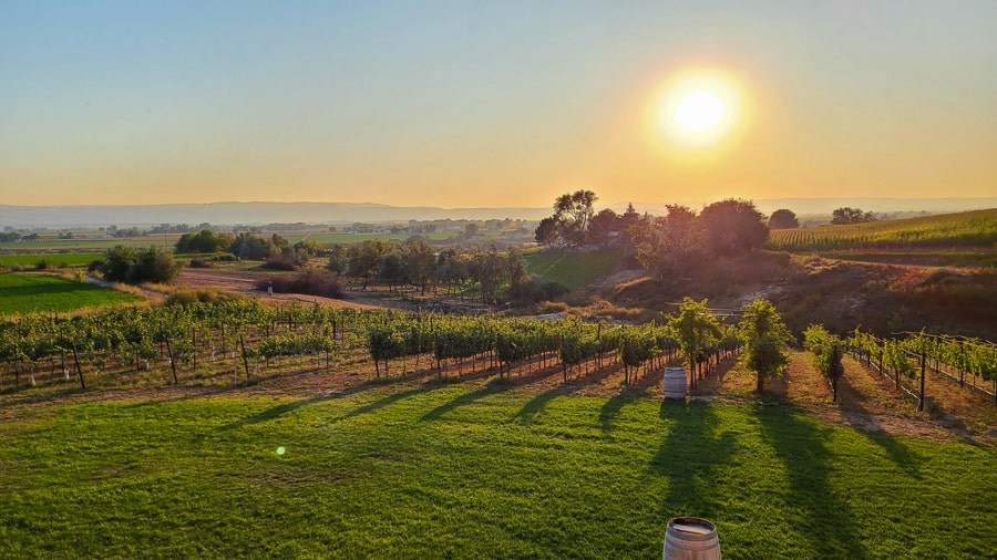 Idaho wineries Caldwell