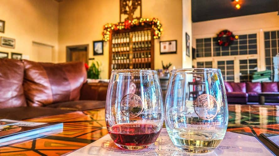 Top 10 Cottonwood Wineries in Arizona (Map Included)