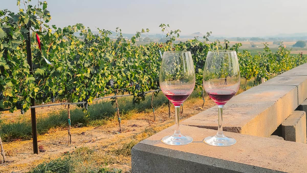 Jerome and Cottonwood wineries a tasty day trip to the Verde Valley