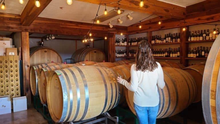 10 Elgin and Sonoita wineries: Guide for wine tasting in Arizona