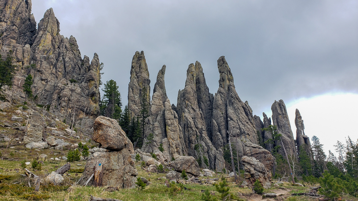 Needles highway custer south dakota