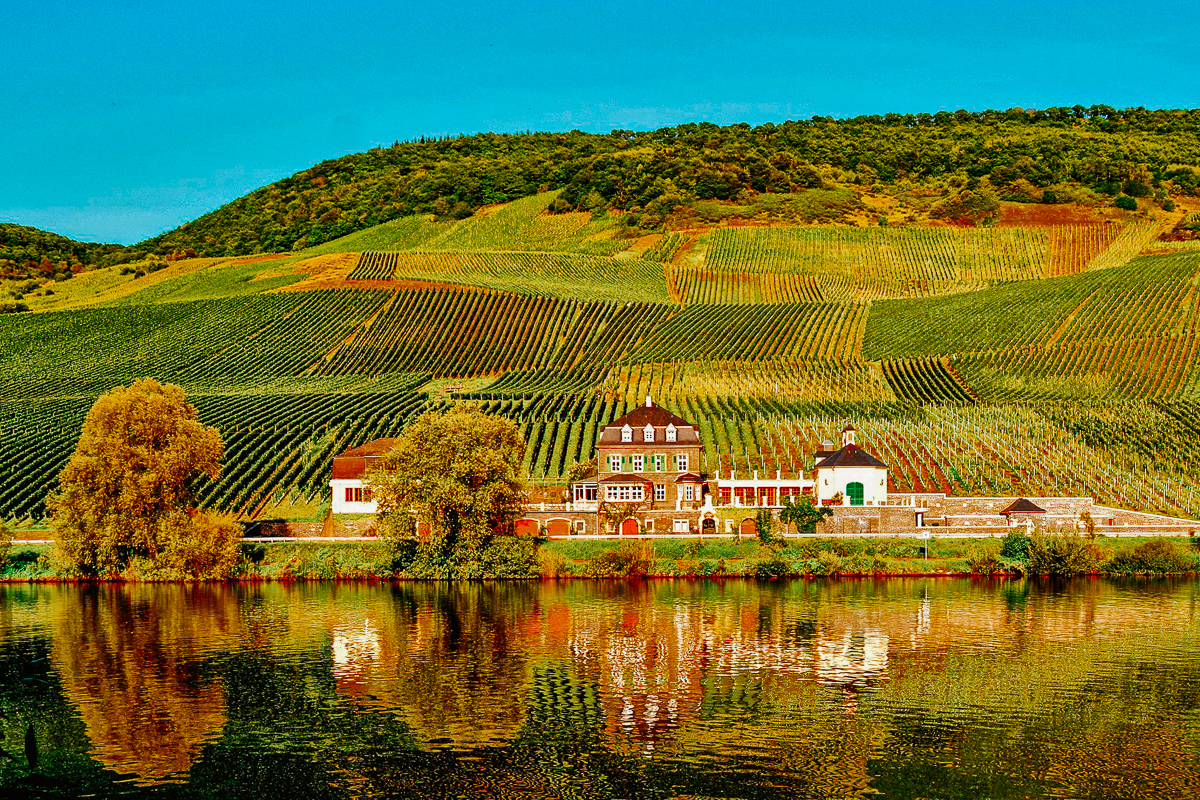 germany - Weingut Dr. Loosen - old world wine