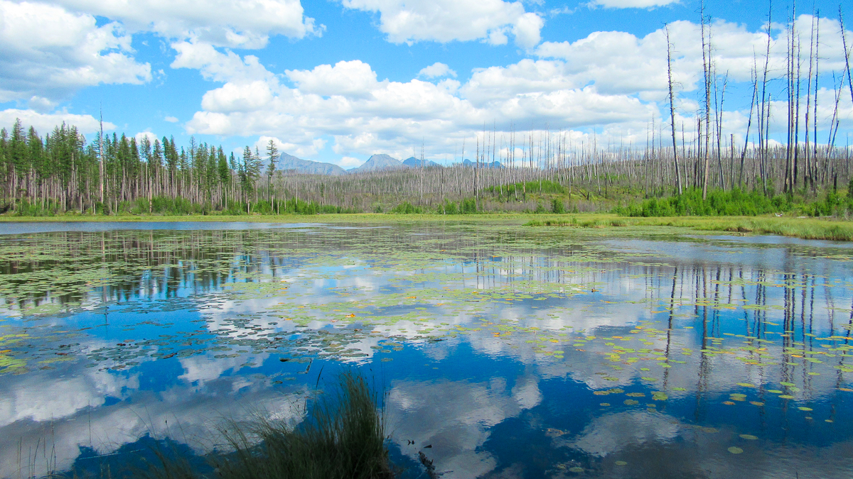 howe lake - hike in glacier