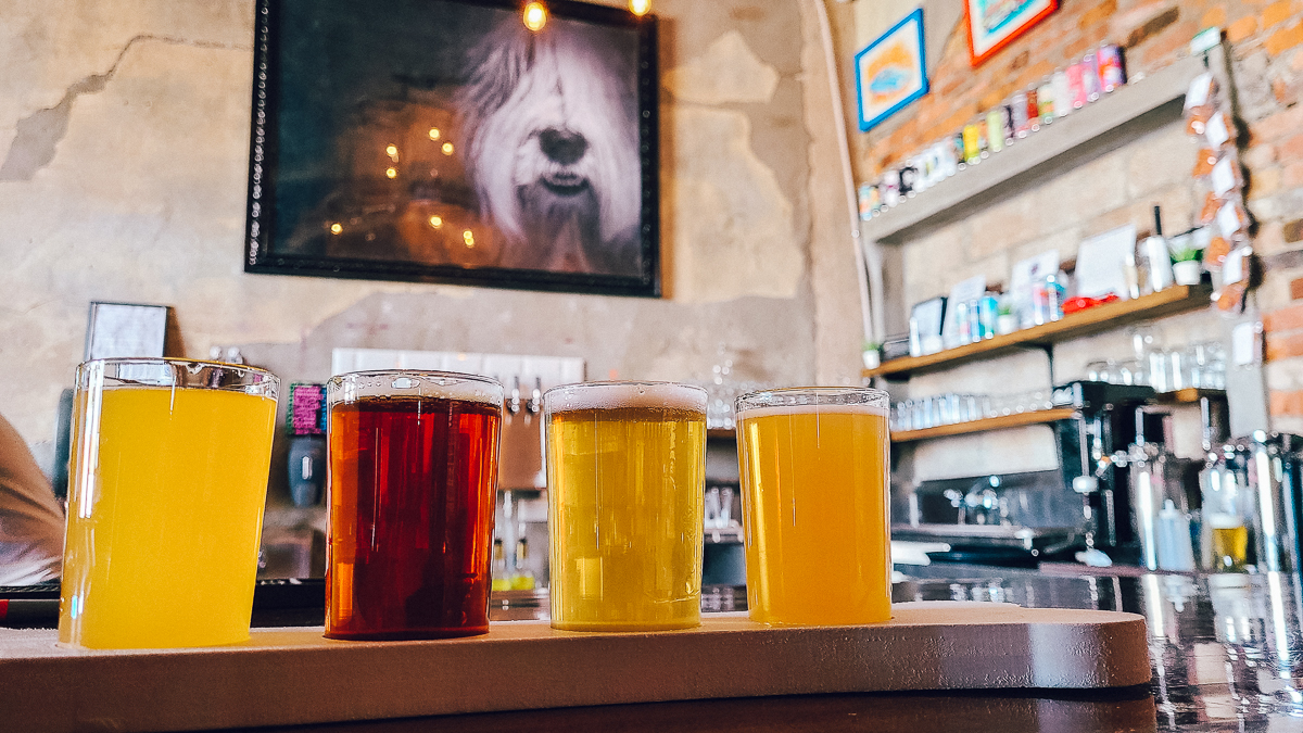 breweries in El Paso - oldsheep dog