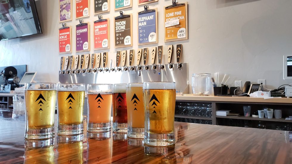 The Top 10 Black Hills Breweries in South Dakota