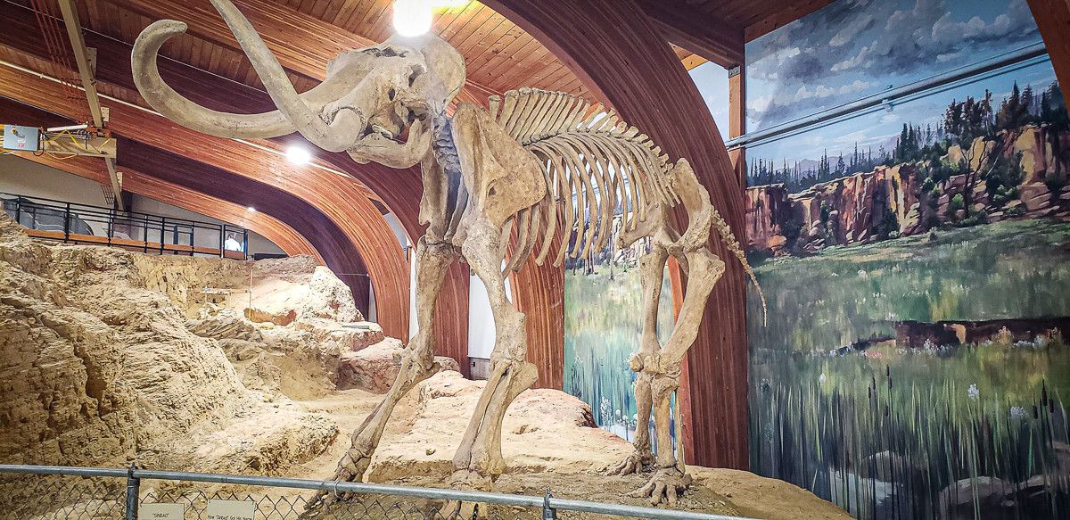 Mammoth Site in Hot Springs, SD