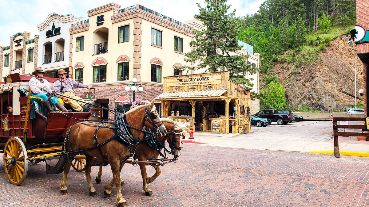 things to do in Deadwood SD-horses
