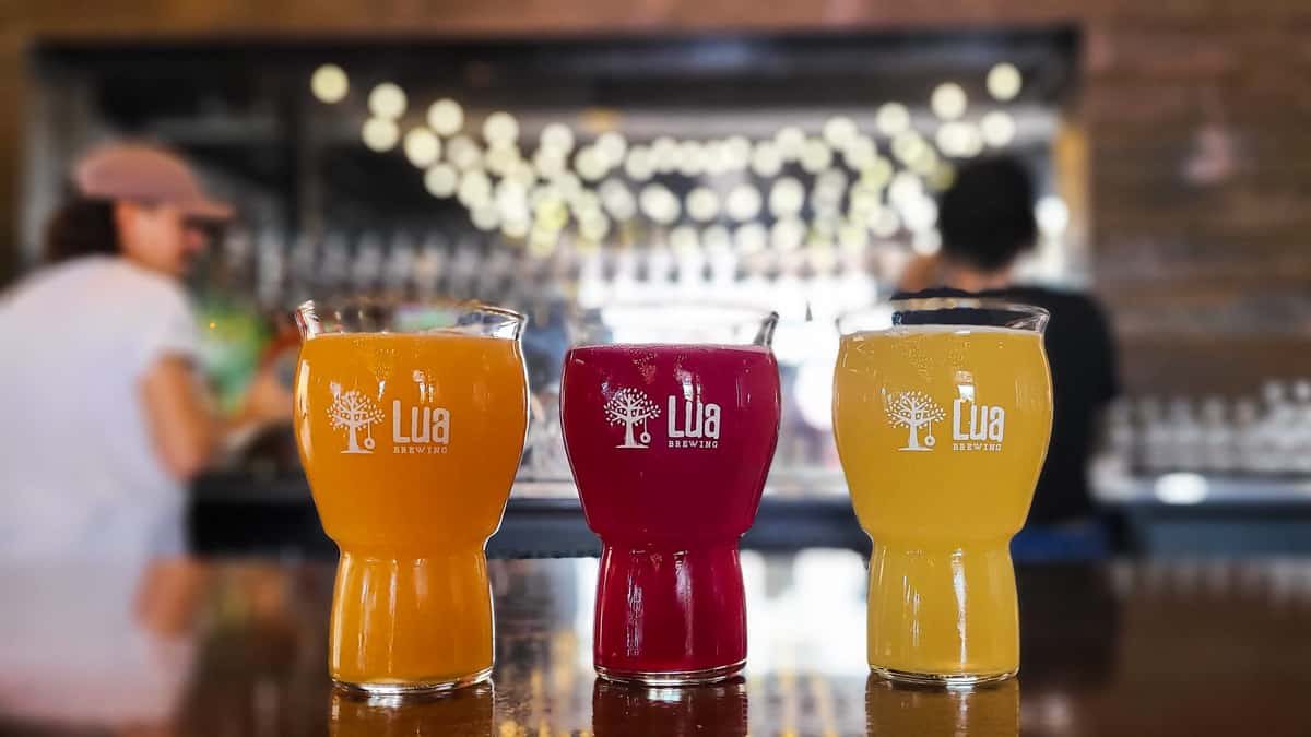 Lua Brewing: breweries in des moines iowa-1