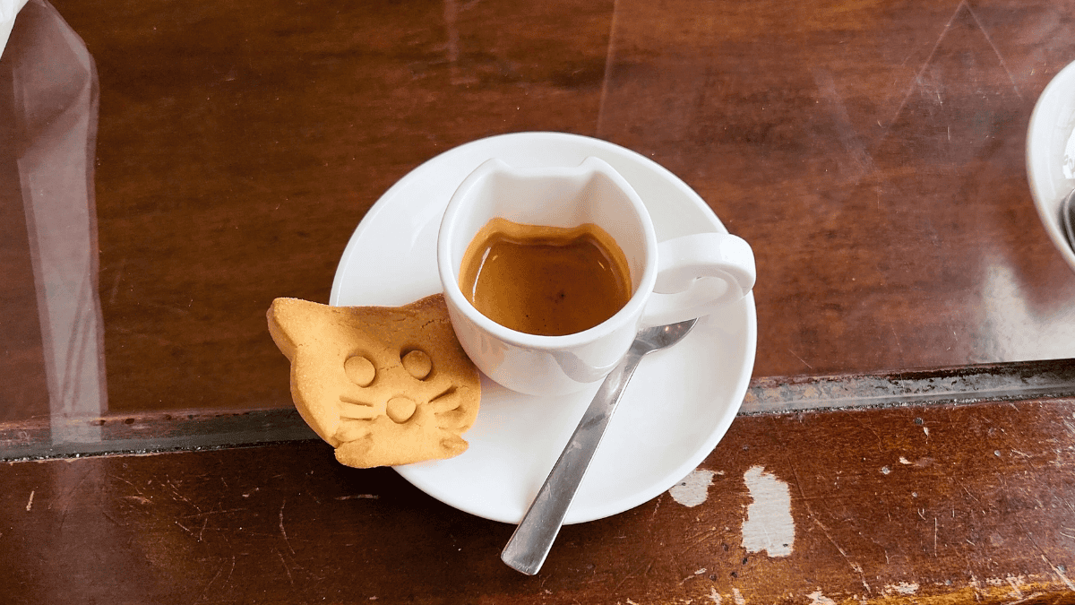 Crazy Cat Cafe in Milan, Italy - 2 days itinerary