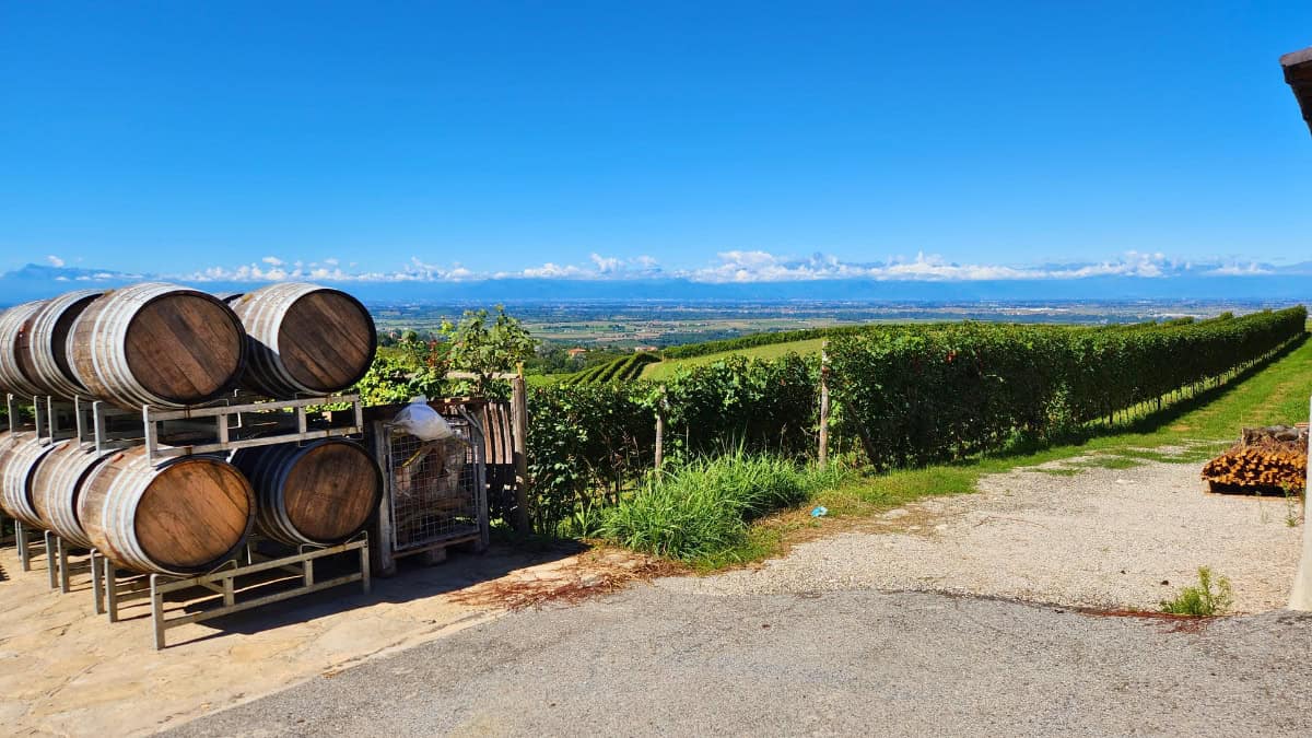 barolo wine tasting - Dosio