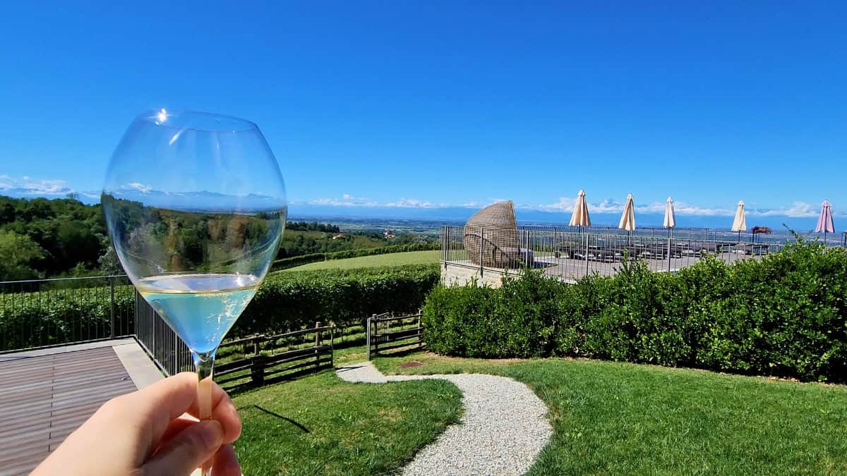 Dosio vineyard with bubbles