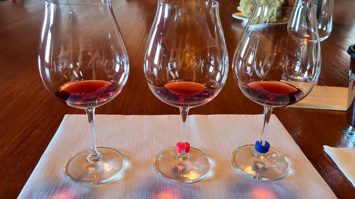 Poderi Marcarini Barolo wine tasting comparison