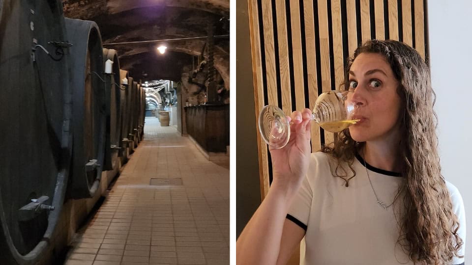 Vinag 1847 cellar and tasting in Maribor Slovenia