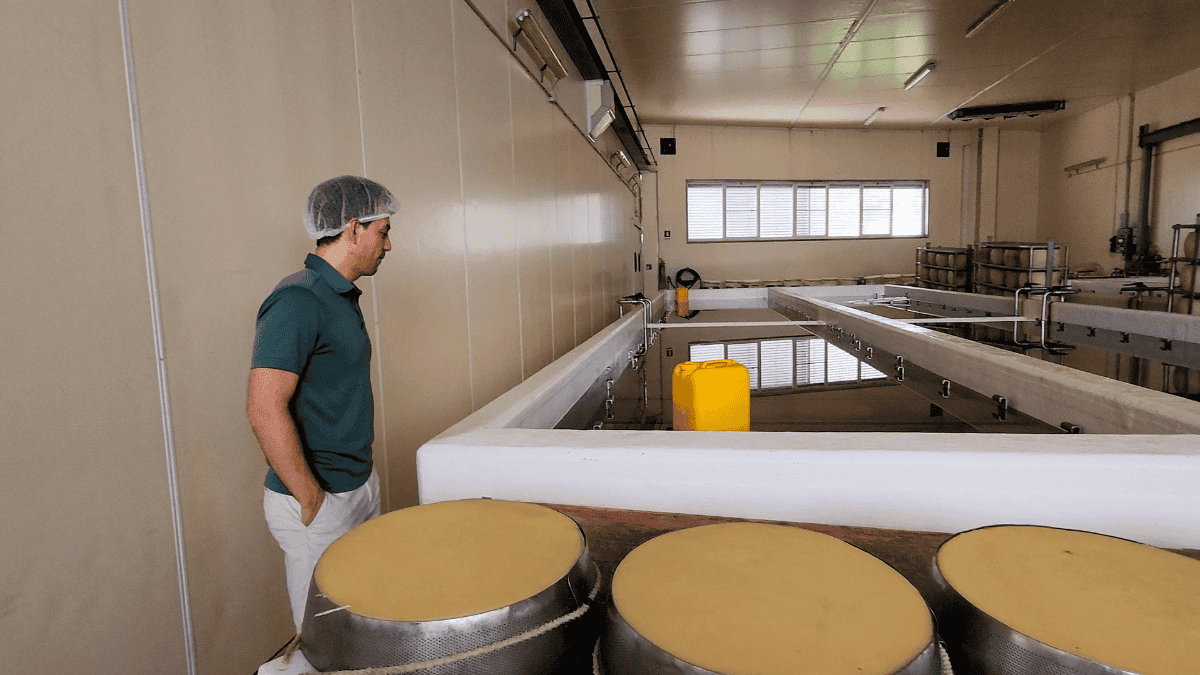 Parma cheese brine room in factory