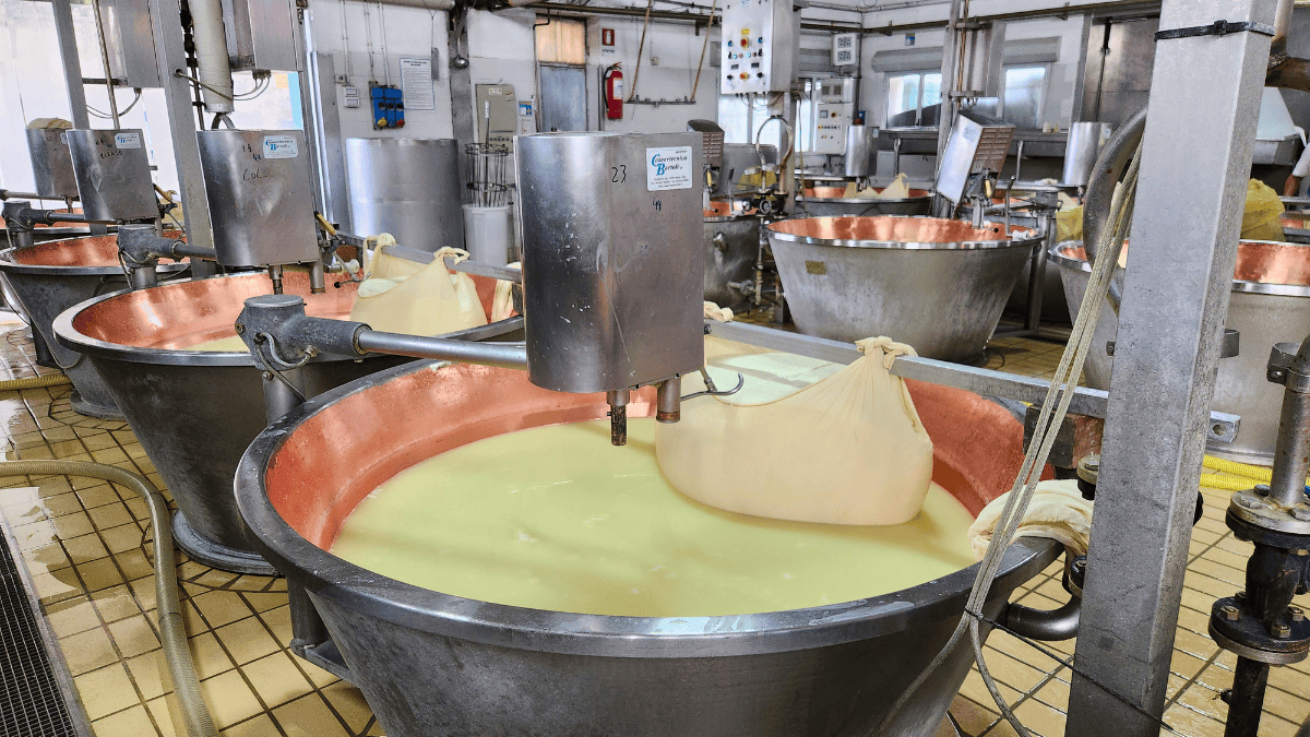 Parma cheese on tour