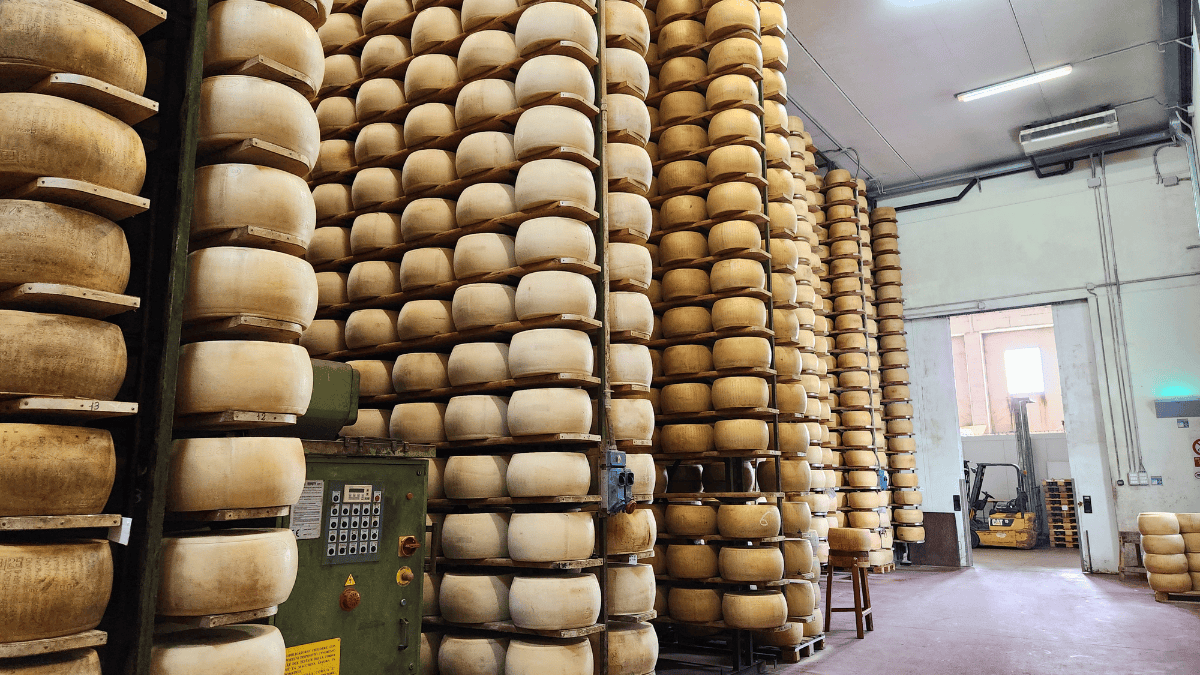 Parmesan cheese aging room