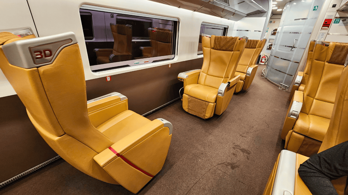 Executive Class Train Trenitalia (5)
