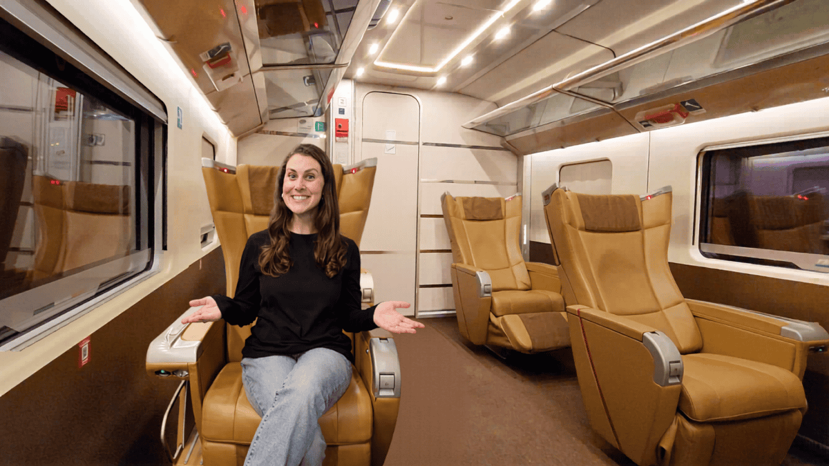Sam -Trenitalia -Executive Class Train - bologna to rome