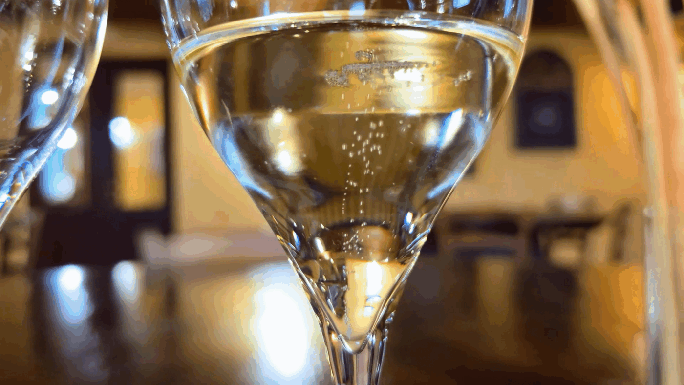 Il mosnel, Franciacorta wine region, italy (5)