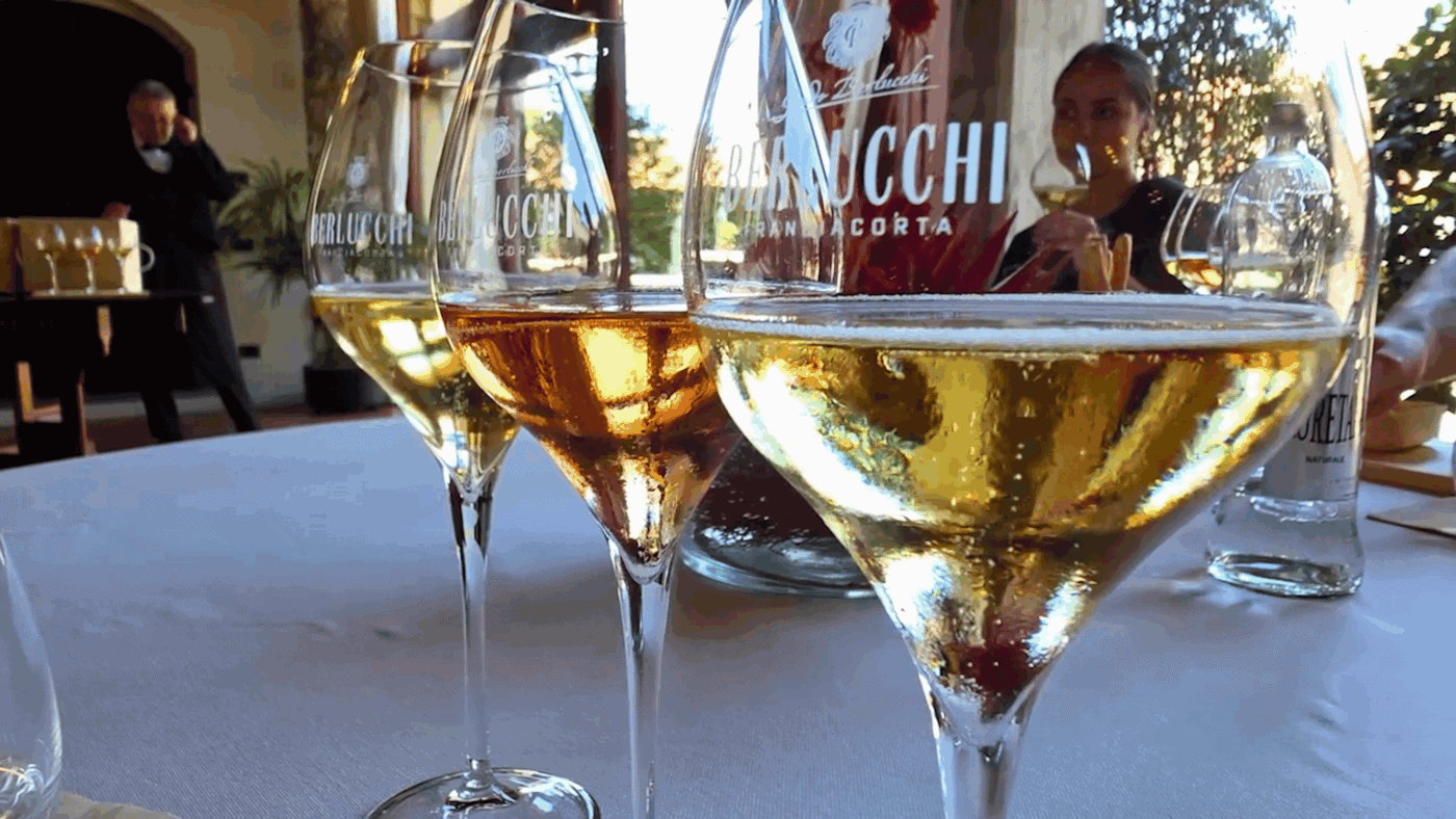 berlucchi wine tasting